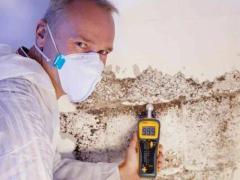 Mold Removal Brampton