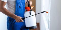 Top-Rated Pest Control Services in Aintree Experienced Technicians