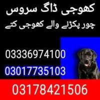 Army dog center multan cantt 03017735103