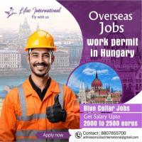 Hungarian citizen and jobs