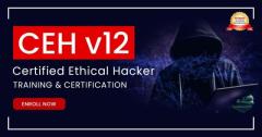 Certified Ethical Hacker Exam Training Master CEH Certification