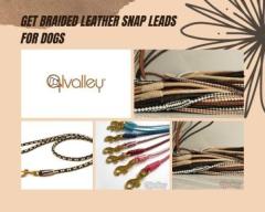 Get Braided Leather Snap Leads for Dogs