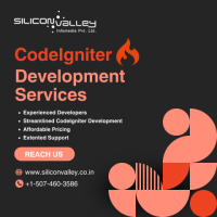 Boost Your Online Presence with Top-notch CodeIgniter Development Services!