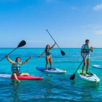 Best Tours and Water sports activities in Cancun