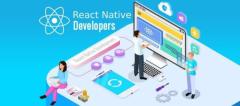 React Native Developers