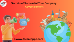 Innovative Marketing Ideas to Set Your Tour Operator Apart