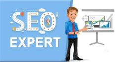 Let's Grow More With SEO Expert in India Today!