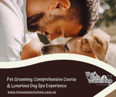 A Comprehensive Training Guide: Advanced Skills for Luxury Pet Grooming — The Pets Workshop