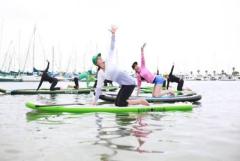 Flow & Float: Yoga Paddle Board classes in Scenic Settings