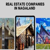 Real Estate Companies in Nagaland