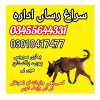 Army dog center tharparkar 03010417477