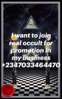 HOW TO JOIN OCCULT FOR MONEY RITUAL IN LONDON +2347033464470