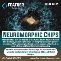 Neuromorphic Chips 