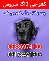 Army dog center charsadda 03336974100