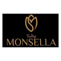 Modern Apartments for Sale in Tulip Monsella Sector 53