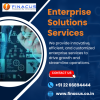 Enterprise Solutions Services