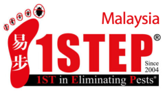 Top Pest Control Services in Malaysia