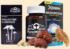   Get The Best Magic Mushrooms