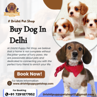 Buy Dog In Delhi | Dog For Sale In Delhi | Drishti Puppy Pet Shop