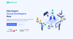  Top Vue.js Developers for Hire – Hire Vue.js Developers Now