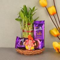 Order Friendship Day Plants Online With Last Minute Delivery 