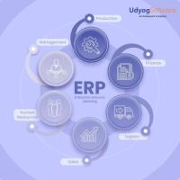 How Udyog ERP Enhances Productivity: India’s Leading ERP Software