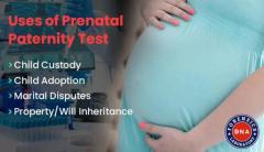 Getting a Non-Invasive Prenatal Paternity DNA Test in India - All You Need to Know