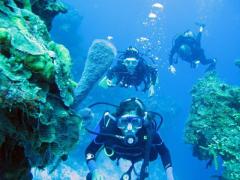 Dive Shops Cancun