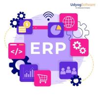 Udyog ERP Services: The Ultimate Choice for Businesses Seeking Efficiency