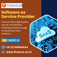 Software as Service Provider