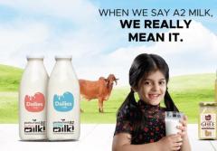 Savor the Natural Essence of Rajkot's a2 Desi Cow Milk