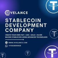 Stablecoin Development Company