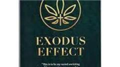 How Does The Exodus Effect Work?