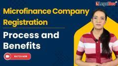 Exploring the Benefits of Microfinance Companies