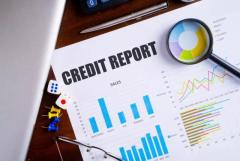 Business Credit Reporting Services