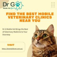 Find the Best Mobile Veterinary Clinics Near You