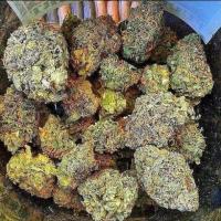 Buy AK 47 weed online