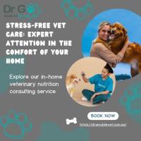 Stress-Free Vet Care: Expert Attention in the Comfort of Your Home