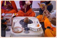 Experience the Divine: Krishnayan Gauraksha’s Shiv abhishek Ceremony