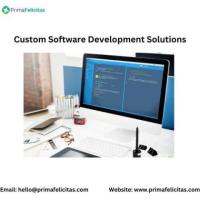 Creating Custom software solutions that adapt to the dynamic landscape.