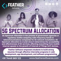 5G Spectrum Allocation