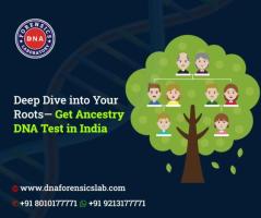 Choose the Best DNA Ancestry Test in India at Affordable Prices