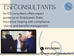 Best Esi Consultant in Delhi With Esipf Consultants 