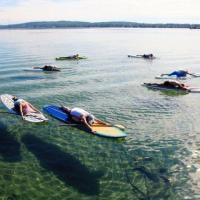 SUP Yoga Certification: Expert Training to Teach Paddleboard Yoga