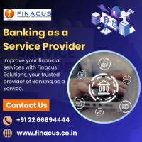 Banking as a Service Provider