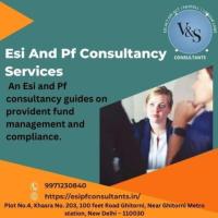 Expert ESI and PF Consultancy Services for Your Business