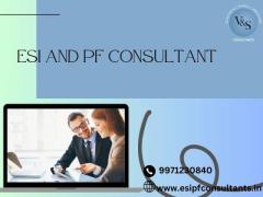 Professional ESI PF Advisor for Efficient Fund Management