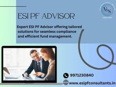 Best Epf Advisor In New Delhi