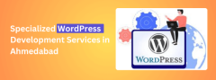 Get Expert WordPress Development Services in Ahmedabad with Pravin Parmar