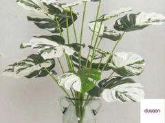 Buy Artificial Plants Online At Affordable Price | Dusaan